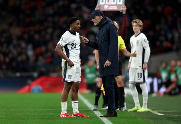 1742612762574020115.jpg 2206288518-612x612.jpg